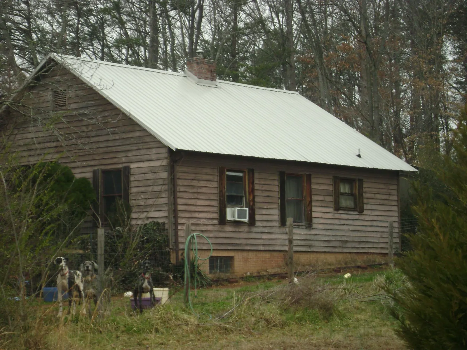 White metal roof on an old wood sided farmhouse, from a Asphalt Shingle Roof Repair job in North Yarmouth